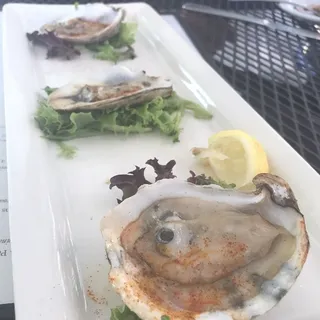 Grilled Oysters