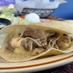 Quesadilla Mexicana (chicken closeup)