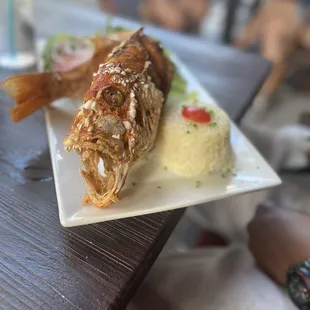 a plate of food on a table