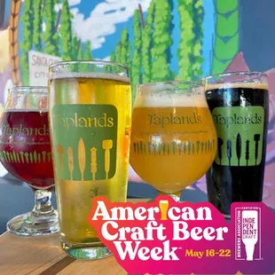 Every week is American Craft Beer Week at Taplands.