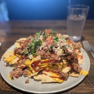 Loaded pulled pork nachos.