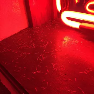 Yes, they have wings. Unfortunately they are huge collections of termites. Disgusting.