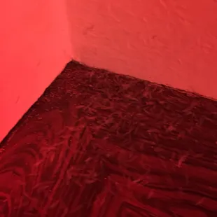 Just a small sample of termite wings. Never going back