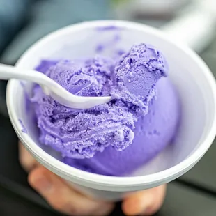 Ube Ice Creamz