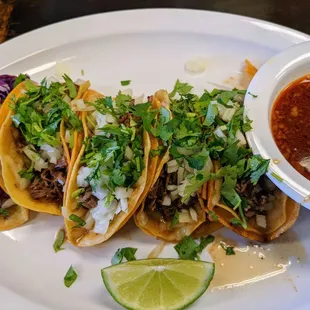 Birria Taco, Pork CarnitasTaco,  shrimp tacos Al Pastor Taco
