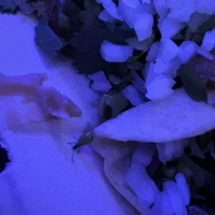 Look closely!