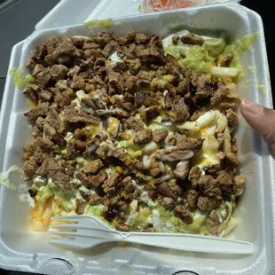 Carne asada fries with pico on the side