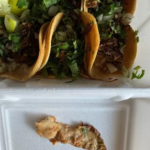 This was just fat...JUST FAT in my carnitas street tacos. Update if I find more. MAN, this place has changed DRASTICALLY