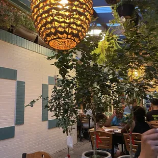 Outdoor patio with tons of plants