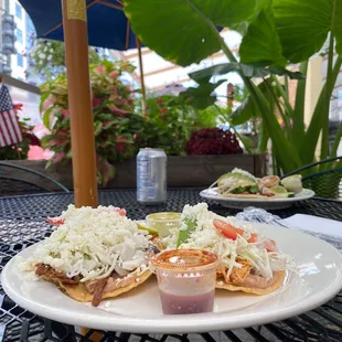 It&apos;s like eating in a lovely rainforest on the patio!