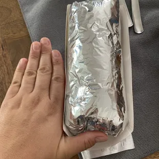 Fairly decent size burrito.