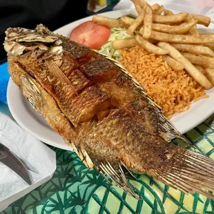 mojarra