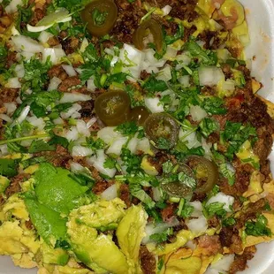 Carne asada nachos