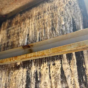 Unit for the kitchen- filled with flies, maggots and grease. Just circulating in the kitchen.