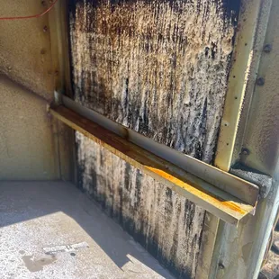 Unit for the kitchen- filled with flies, maggots and grease. Just circulating in the kitchen.