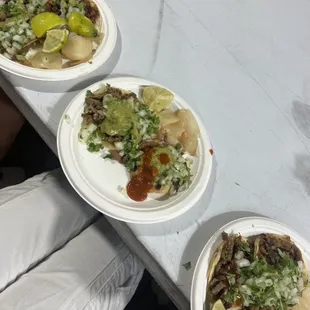 Tripa