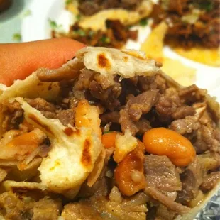 Carne Asada Burrito