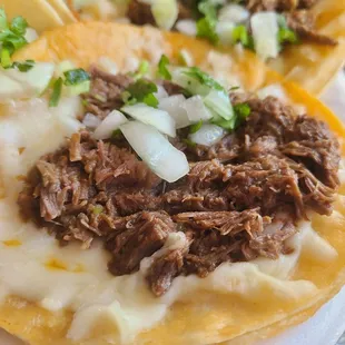 Birria w/cheese