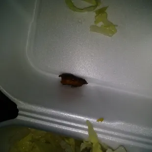 Whatever this was that was in my tacos