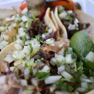 Barbacoa Tacos