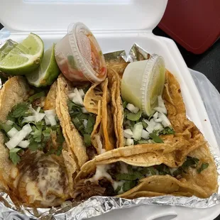 Birria tacos w/ cilantro and onions