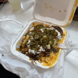 birria fries