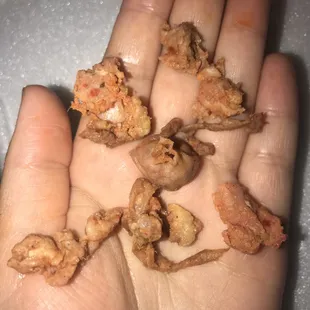 a person holding a handful of fried food