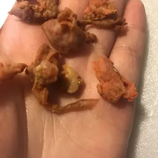 a person's hand holding a handful of fried food