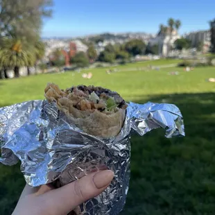 a hand holding a burrito