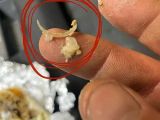 El Cabrito Mexican Grill - Crofton