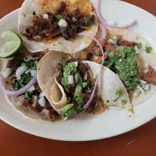 Tripa