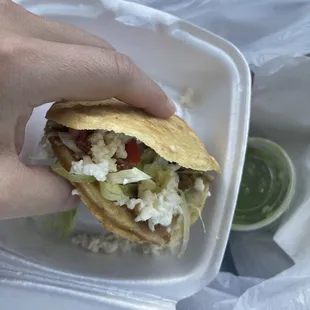 Carnitas Gordita. My hand for scale.