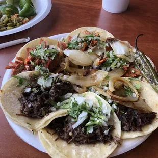 Barbacoa Tacos