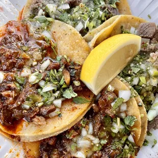 Pastor X2, Lengua, Cabeza