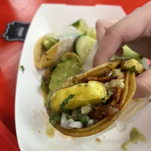 a hand holding a taco