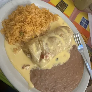 Shredded chicken Chimichanga