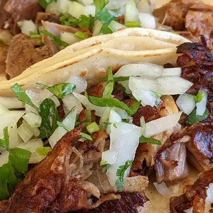 Carnitas taco