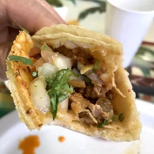 a hand holding a taco