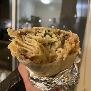 a hand holding a burrito