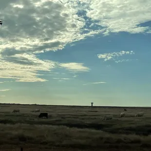 Across El rancho scene