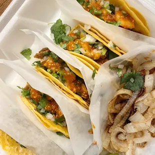 Amazing tripita tacos with grilled onions