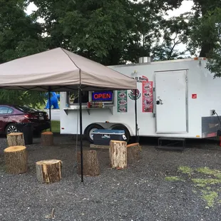Tree stumps, natural seating!