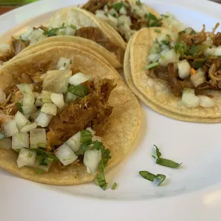 Carnitas Tacos