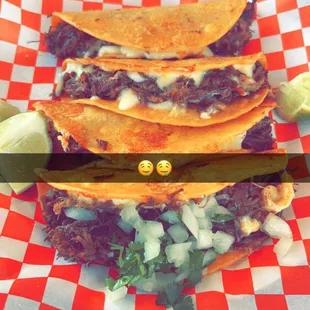 My quesa burrias