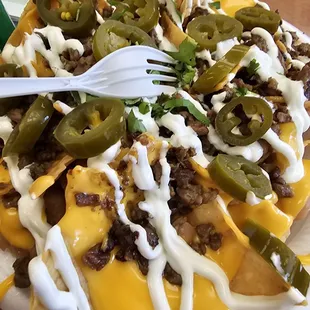 Special Nachos