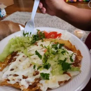 a person holding a fork and knife