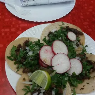 Taqueria El Taco Maestro