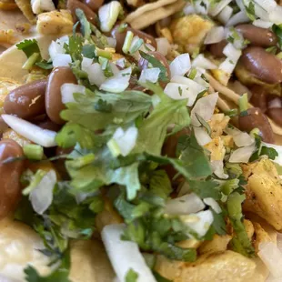 Tacos chicken
