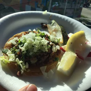 a person holding a plate of food