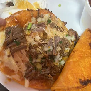 Quesa Birria taco